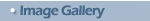 Image Gallery (Link)